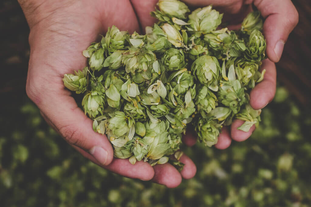 Hops Blends