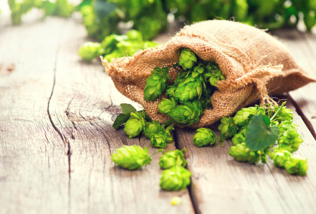 Hops and Antioxidants