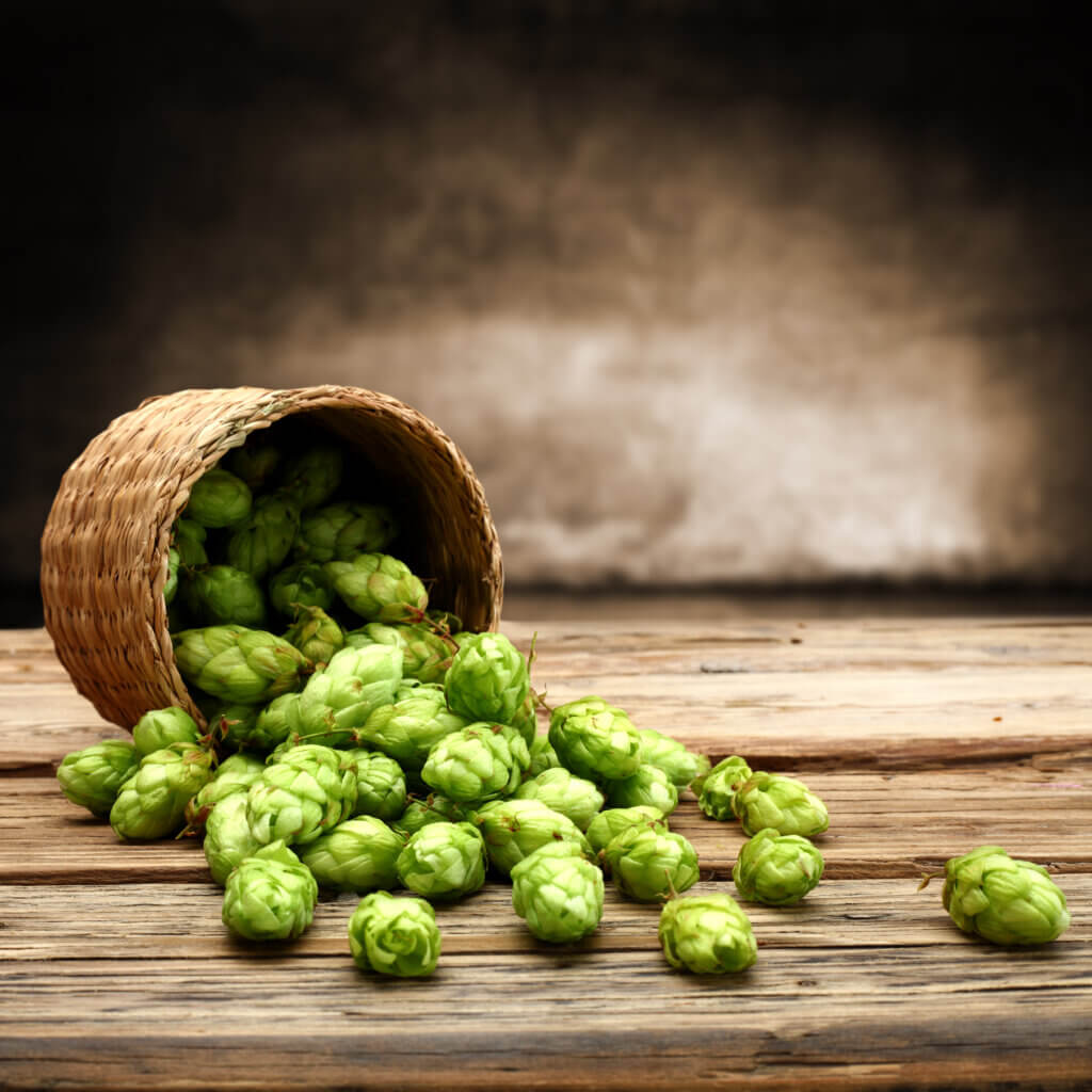 Hops Properties: Decay and Gum Disease