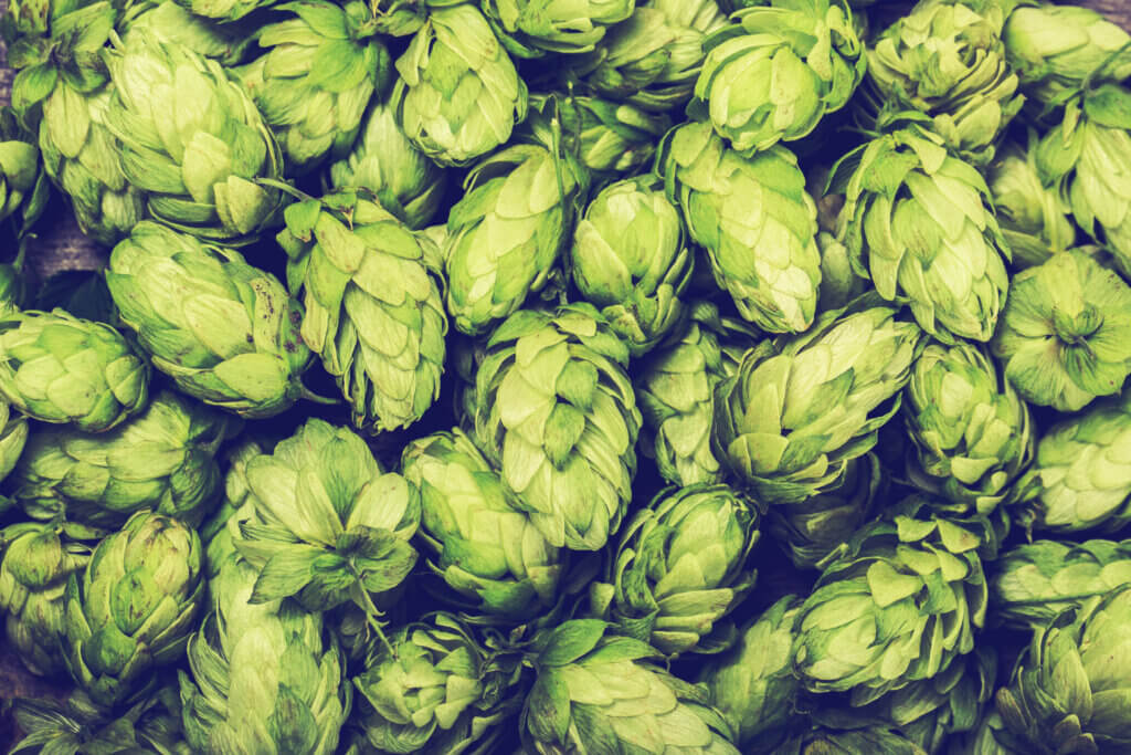 Columbia Hops