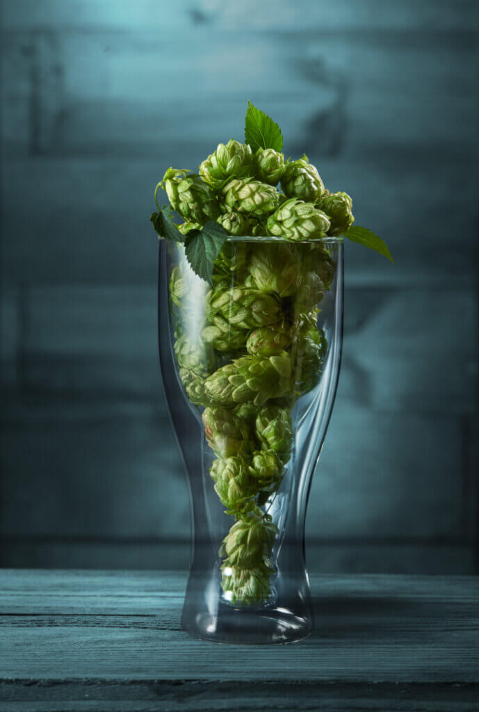 Intense Hoppy Aroma in Hops