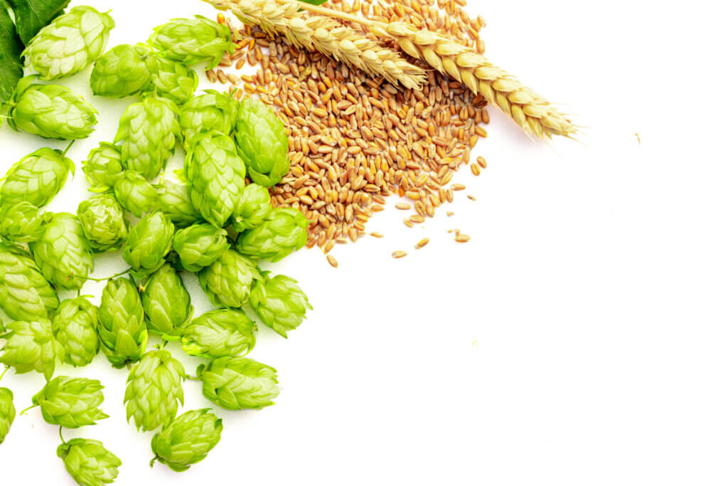 White Grapes Aroma in Hops