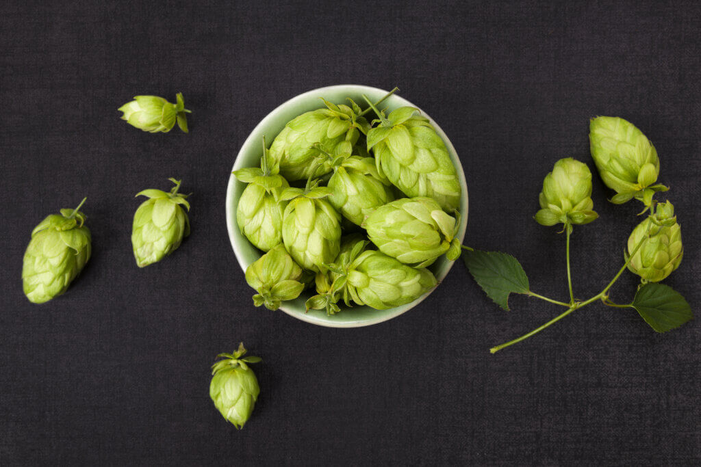 Orange Zest Aroma in Hops