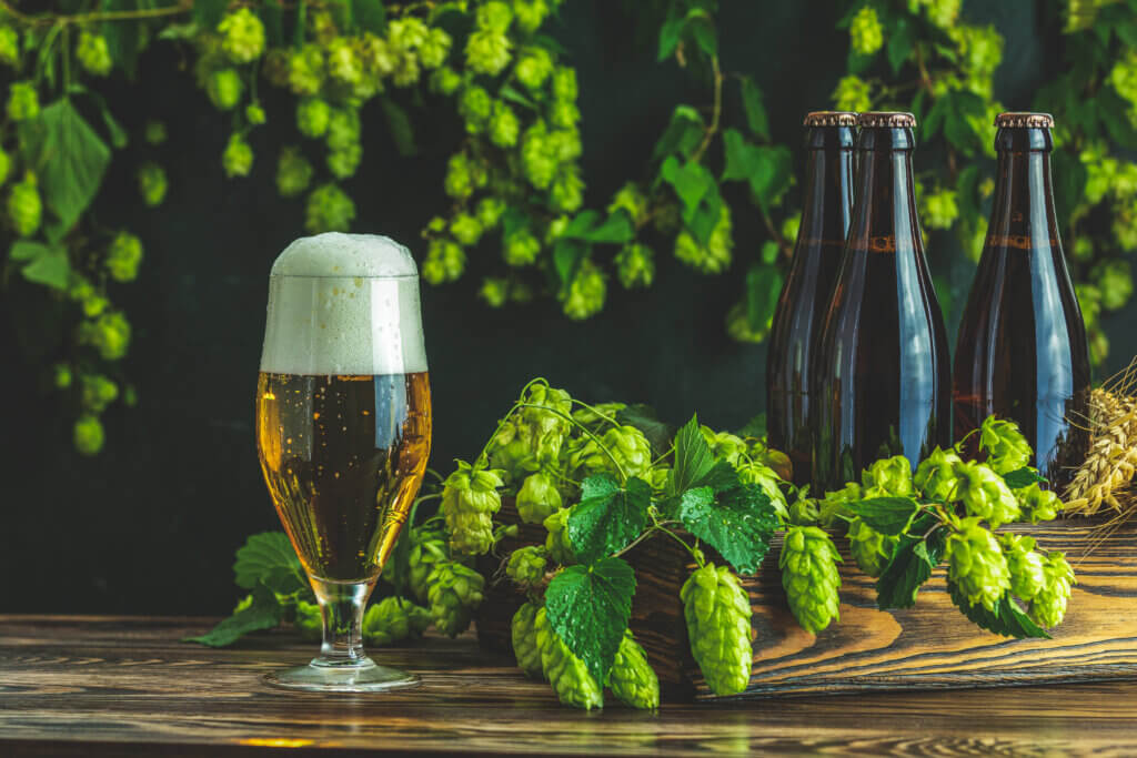 Berries and Piney Aromas