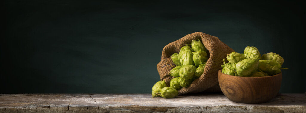 Basil Aroma in Hops