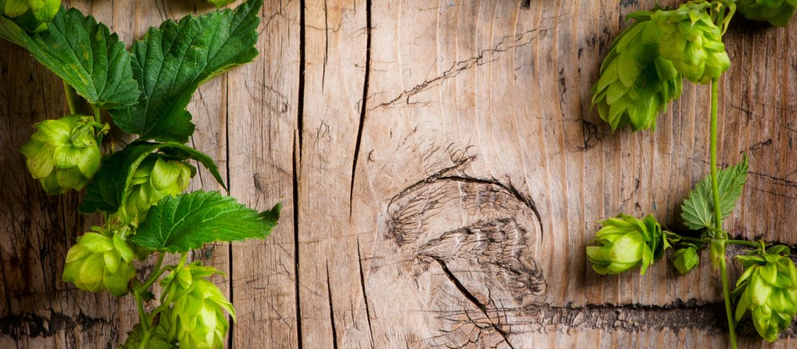 Lychee Aroma in Hops