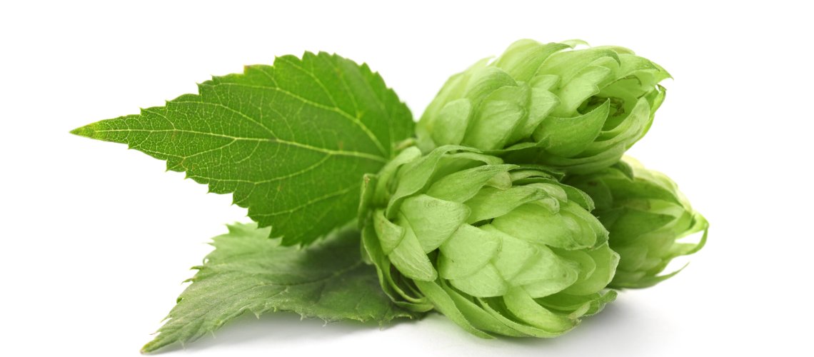 Stone Fruits and Spice Aromas