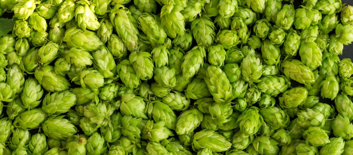 Raisins Aroma in Hops