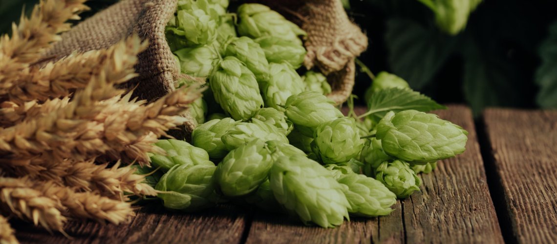 Juniper Aroma in Hops