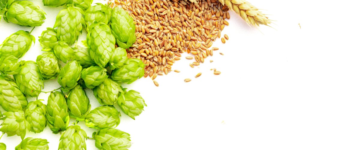 White Grapes Aroma in Hops