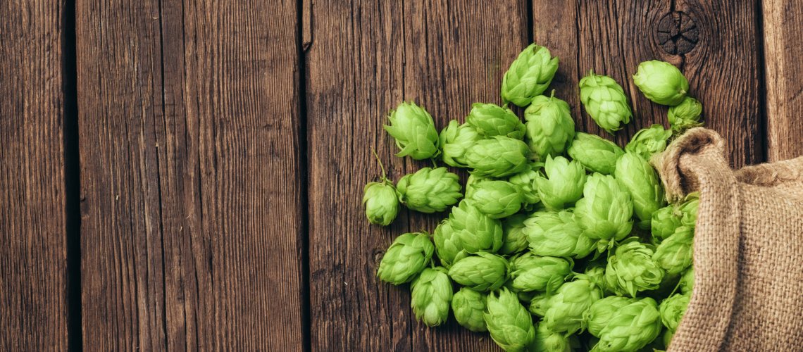 Coconut Aroma in Hops