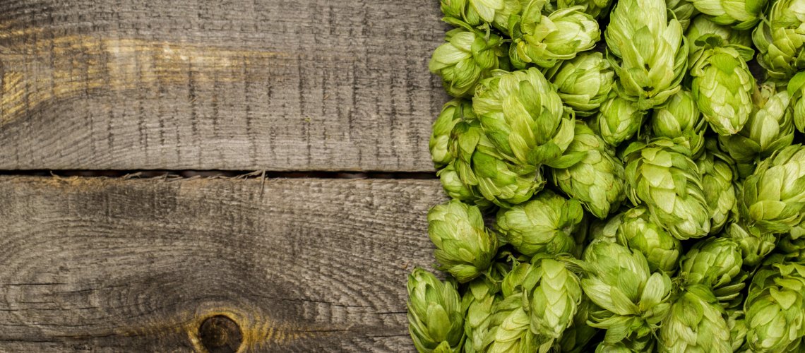 Citrus and Stone Fruits Aromas